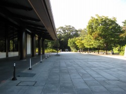 �ޗǌ��V���