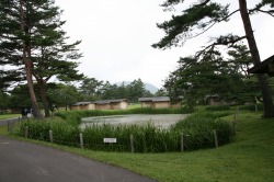 �y���v�����X�z�e��