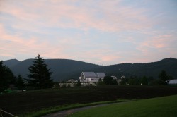 �y���i��