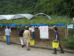 ������������Let's go!