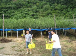 �Ԃǂ���肵�Ă܂�