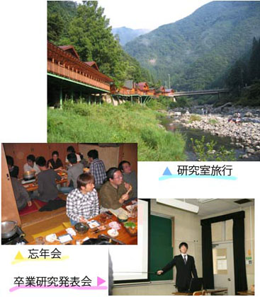 �N�ԍs���ʐ^