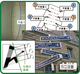 �����F���E�����摜����